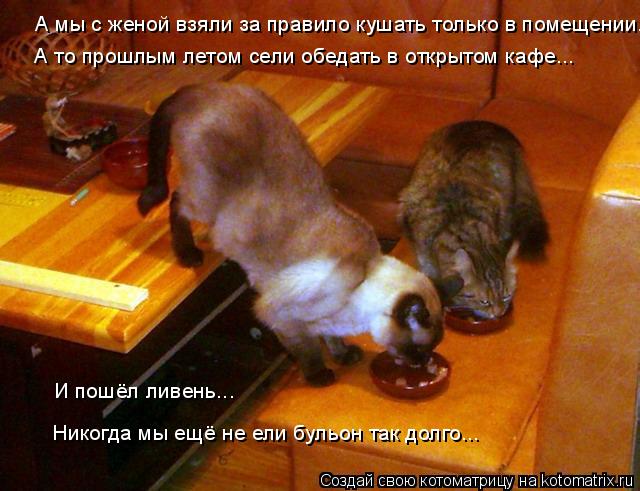 А мы с женой взяли за правило кушать только в помещении. А то прошлым летом сели обедать в открытом к... Котоматрица: А мы с женой взяли за правило кушать только в помещении. А то прошлым летом сели обедать в открытом кафе... И пошёл ливень... Никогда мы ещё не