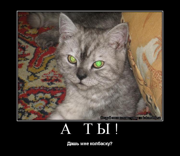 А ты! Дашь мне колбаску?... Котоматрица: А ты! Дашь мне колбаску?