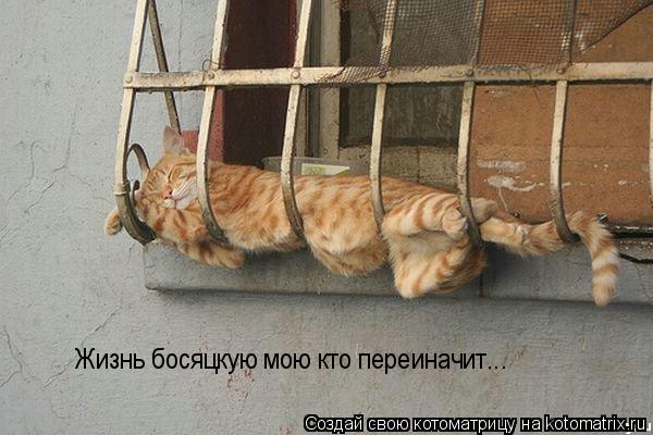 Жизнь босяцкую мою кто переиначит...... Котоматрица: Жизнь босяцкую мою кто переиначит...