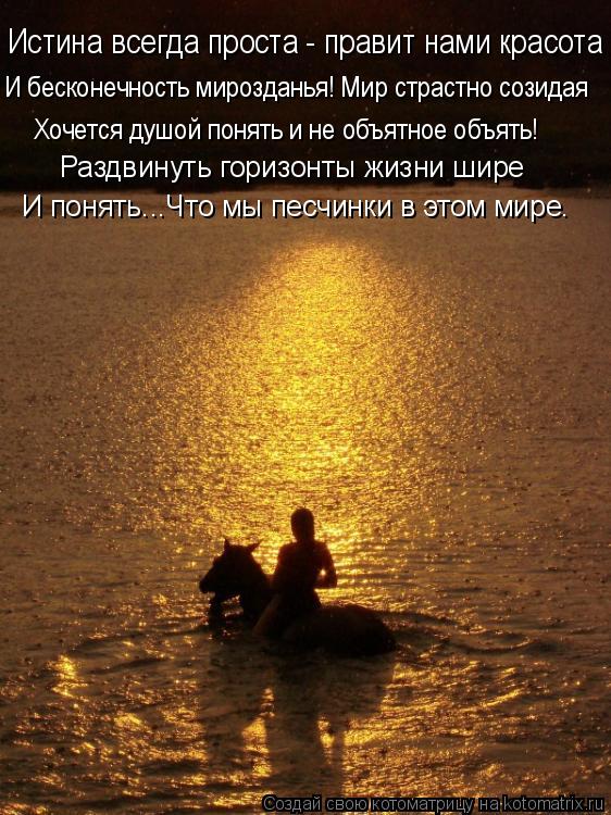 Истина всегда проста - правит нами красота И бесконечность мирозданья! Мир страстно созидая Хочется д... Котоматрица: Истина всегда проста - правит нами красота И бесконечность мирозданья! Мир страстно созидая Хочется душой понять и не объятное объять! И по