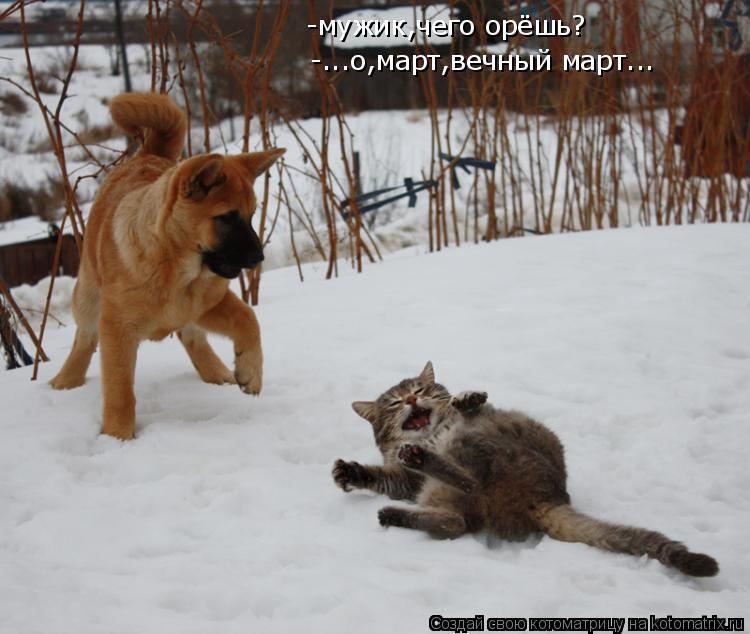 Котоматрица: -мужик,чего орёшь? -...о,март,вечный март...