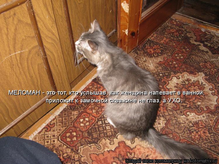 МЕЛОМАН - это тот, кто услышав, как женщина напевает в ванной, приложит к замочной скважине не глаз, ... Котоматрица: МЕЛОМАН - это тот, кто услышав, как женщина напевает в ванной, приложит к замочной скважине не глаз, а УХО.