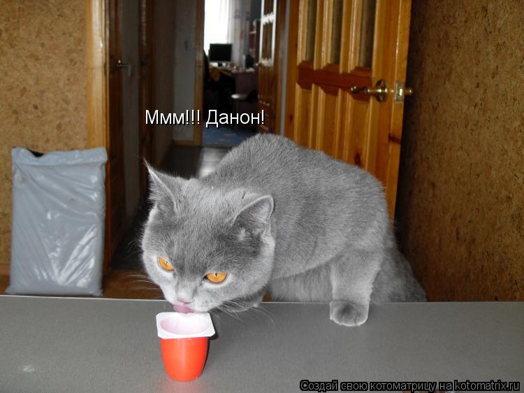Ммм!!! Данон!... Котоматрица: Ммм!!! Данон!