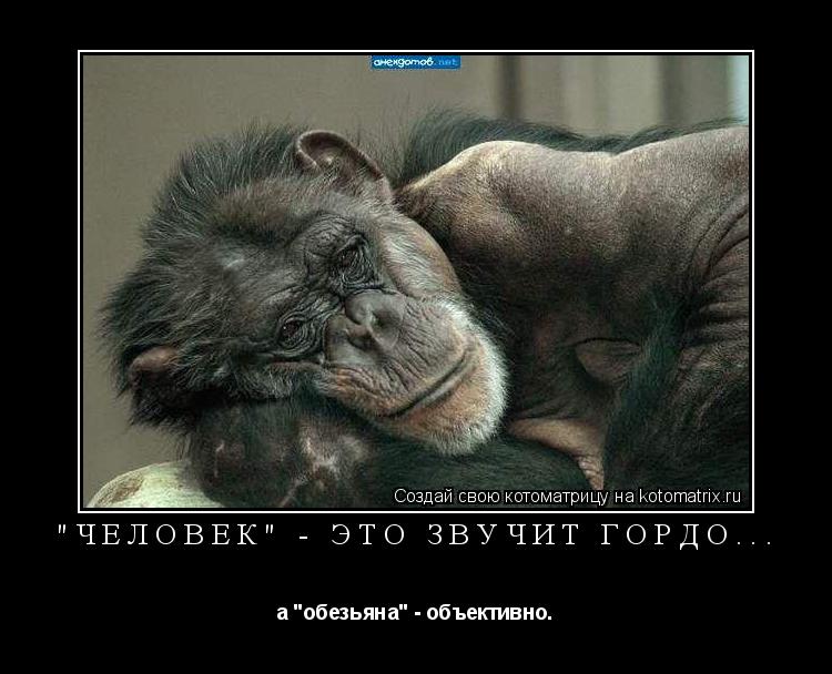 "Человек" - это звучит гордо... а "обезьяна" - объективно.... Котоматрица: "Человек" - это звучит гордо... а "обезьяна" - объективно.