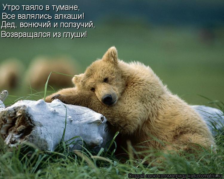 Утро таяло в тумане, Все валялись алкаши! Дед, вонючий и ползучий, Возвращался из глуши!... Котоматрица: Утро таяло в тумане, Все валялись алкаши! Дед, вонючий и ползучий, Возвращался из глуши!