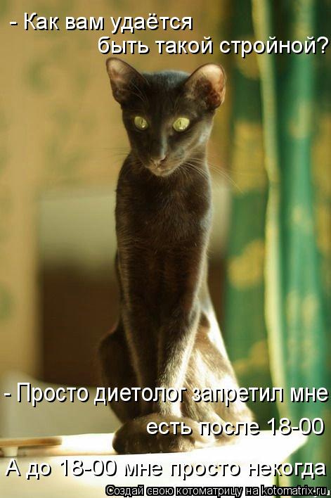 быть такой стройной? А до 18-00 мне просто некогда есть после 18-00 - Как вам удаётся - Просто дието... Котоматрица: быть такой стройной? А до 18-00 мне просто некогда есть после 18-00 - Как вам удаётся - Просто диетолог запретил мне