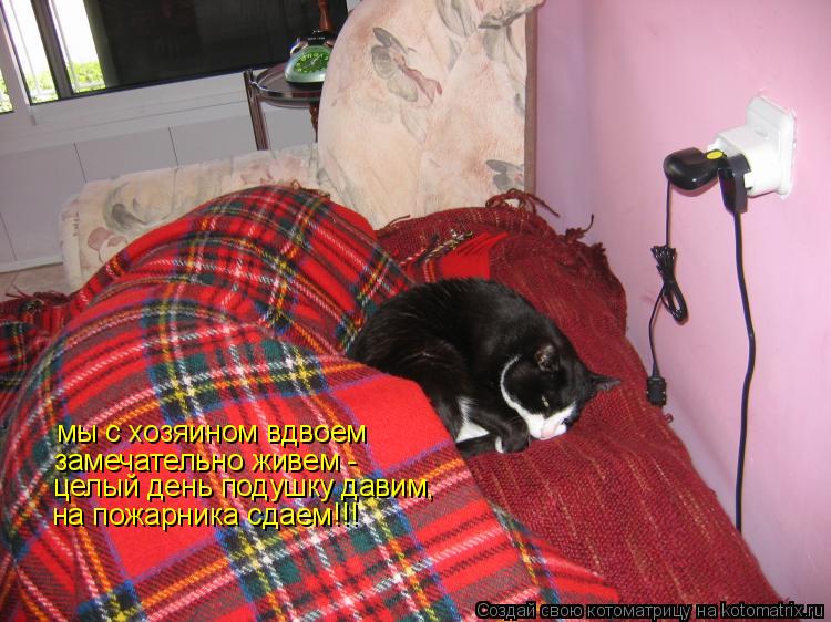 Котоматрица: мы с хозяином вдвоем замечательно живем - целый день подушку давим, на пожарника сдаем!!!