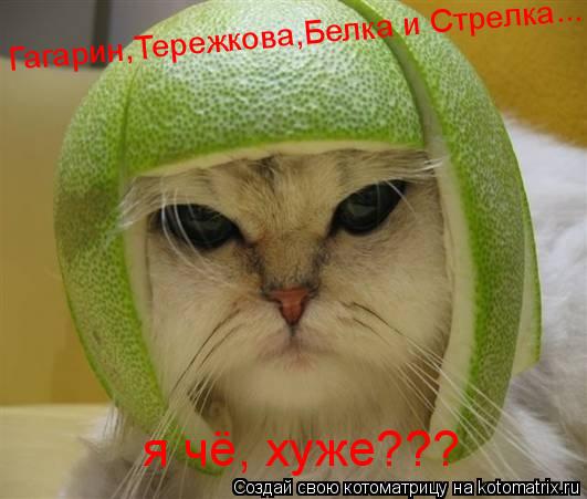 я чё, хуже??? Гагарин,Тережкова,Белка и Стрелка...... Котоматрица: я чё, хуже??? Гагарин,Тережкова,Белка и Стрелка...