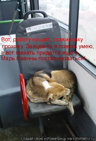 Вот, работу нашёл, стажировку прохожу. Зайцев-то я ловить умею, а вот гавкать придётся ещё у Марь Ив... Котоматрица: Вот, работу нашёл, стажировку прохожу. Зайцев-то я ловить умею, а вот гавкать придётся ещё у Марь Иванны постажироваться!