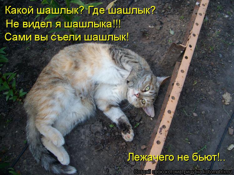 Котоматрица: Какой шашлык? Где шашлык?  Лежачего не бьют!..  Не видел я шашлыка!!!  Сами вы съели шашлык!