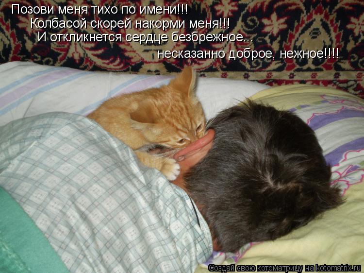 Котоматрица: Позови меня тихо по имени!!! Колбасой скорей накорми меня!!! И откликнется сердце безбрежное... несказанно доброе, нежное!!!!