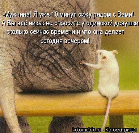 -Мужчина! Я уже 10 минут сижу рядом с Вами! А Вы всё никак не спросите у одинокой девушки, сколько се... Котоматрица: -Мужчина! Я уже 10 минут сижу рядом с Вами! А Вы всё никак не спросите у одинокой девушки, сколько сейчас времени и что она делает сегодня вече
