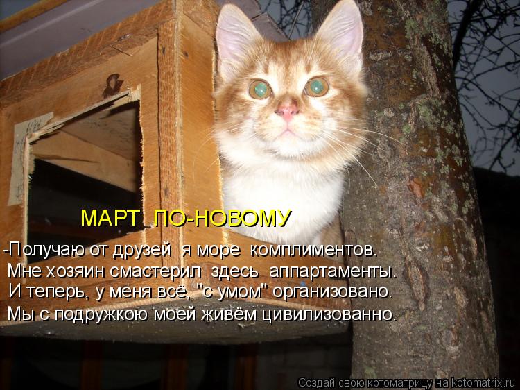 Мне хозяин смастерил здесь аппартаменты. Мы с подружкою моей живём цивилизованно. -Получаю от друзе... Котоматрица: Мне хозяин смастерил здесь аппартаменты. Мы с подружкою моей живём цивилизованно. -Получаю от друзей я море комплиментов. МАРТ ПО-НОВОМУ