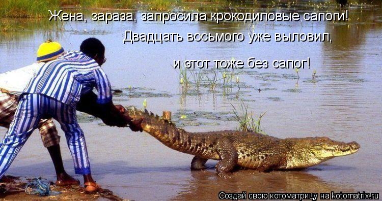 Котоматрица: Жена, зараза, запросила крокодиловые сапоги! Двадцать восьмого уже выловил,  и этот тоже без сапог!
