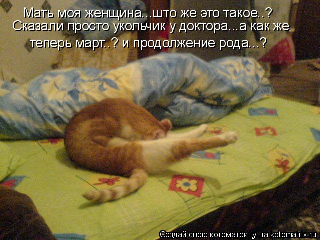 Котоматрица: Мать моя женщина...што же это такое..?  Сказали просто укольчик у доктора...а как же теперь март..? и продолжение рода...?