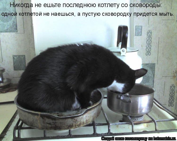 Никогда не ешьте последнюю котлету со сковороды: одной котлетой не наешься, а пустую сковородку приде... Котоматрица: Никогда не ешьте последнюю котлету со сковороды: одной котлетой не наешься, а пустую сковородку придется мыть.
