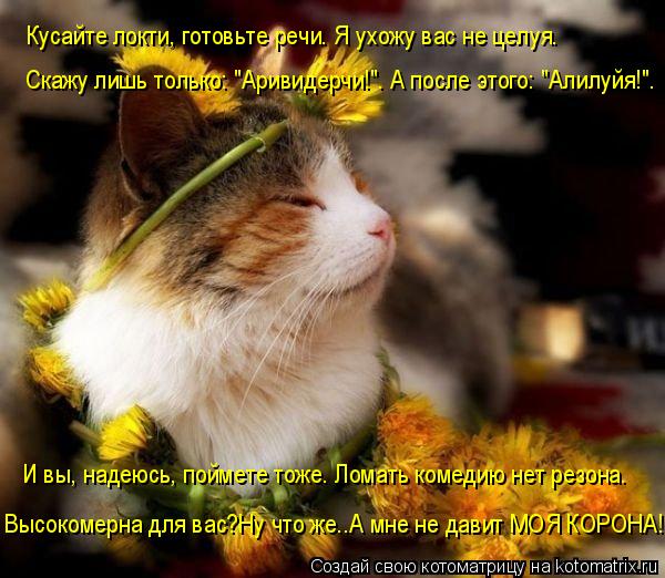 Кусайте локти, готовьте речи. Я ухожу вас не целуя. И вы, надеюсь, поймете тоже. Ломать комедию нет р... Котоматрица: Кусайте локти, готовьте речи. Я ухожу вас не целуя. И вы, надеюсь, поймете тоже. Ломать комедию нет резона. Высокомерна для вас?Ну что же..А мн