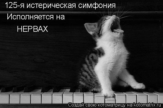 125-я истерическая симфония Исполняется на НЕРВАХ... Котоматрица: 125-я истерическая симфония Исполняется на НЕРВАХ