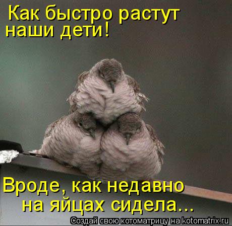 Стих как быстро вырастают наши дети Стих как быстро вырастают наши дети