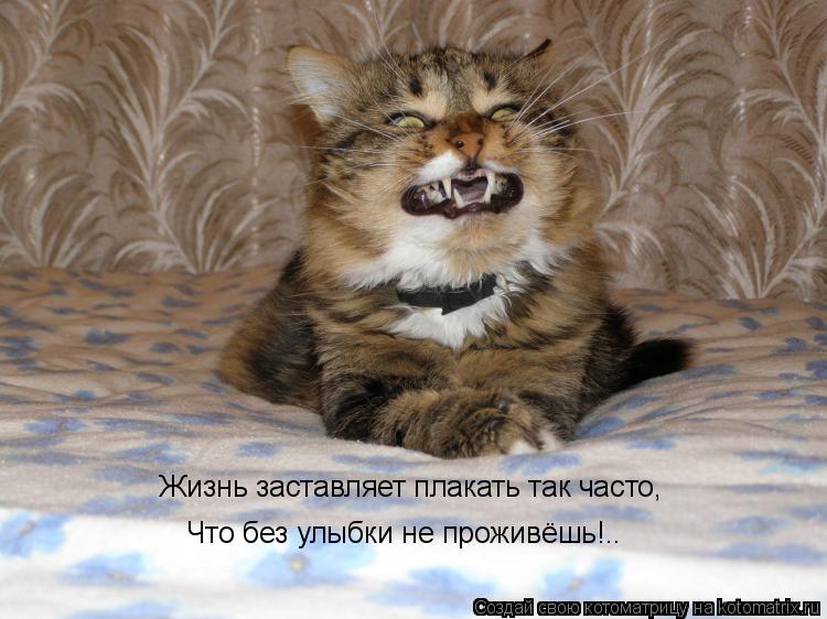 Жизнь заставляет плакать так часто, Что без улыбки не проживёшь!..... Котоматрица: Жизнь заставляет плакать так часто, Что без улыбки не проживёшь!..