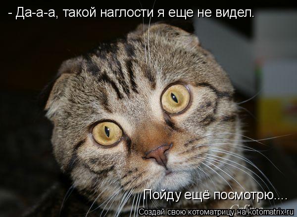 Котоматрица: - Да-а-а, такой наглости я еще не видел. Пойду ещё посмотрю....