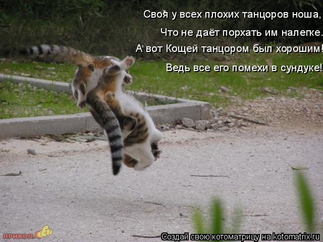 Своя у всех плохих танцоров ноша, А вот Кощей танцором был хорошим! Что не даёт порхать им налегке. В... Котоматрица: Своя у всех плохих танцоров ноша, А вот Кощей танцором был хорошим! Что не даёт порхать им налегке. Ведь все его помехи в сундуке!