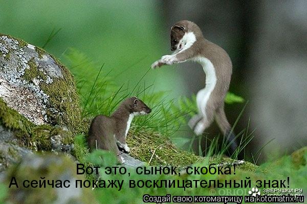 Вот это, сынок, скобка! А сейчас покажу восклицательный знак!... Котоматрица: Вот это, сынок, скобка! А сейчас покажу восклицательный знак!