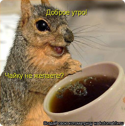Котоматрица: Доброе утро! Чайку не желаете?