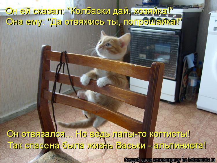 Он ей сказал: "Колбаски дай, хозяйка!" Она ему: "Да отвяжись ты, попрошайка!" Он отвязался... Но ведь... Котоматрица: Он ей сказал: "Колбаски дай, хозяйка!" Она ему: "Да отвяжись ты, попрошайка!" Он отвязался... Но ведь лапы-то когтисты! Так спасена была жизнь Вас
