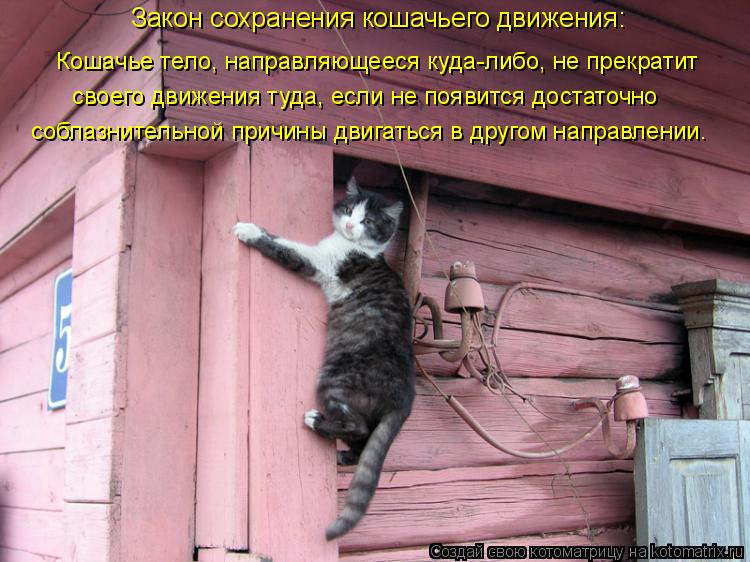 Закон сохранения кошачьего движения: Кошачье тело, направляющееся куда-либо, не прекратит своего движ... Котоматрица: Закон сохранения кошачьего движения: Кошачье тело, направляющееся куда-либо, не прекратит своего движения туда, если не появится достаточн