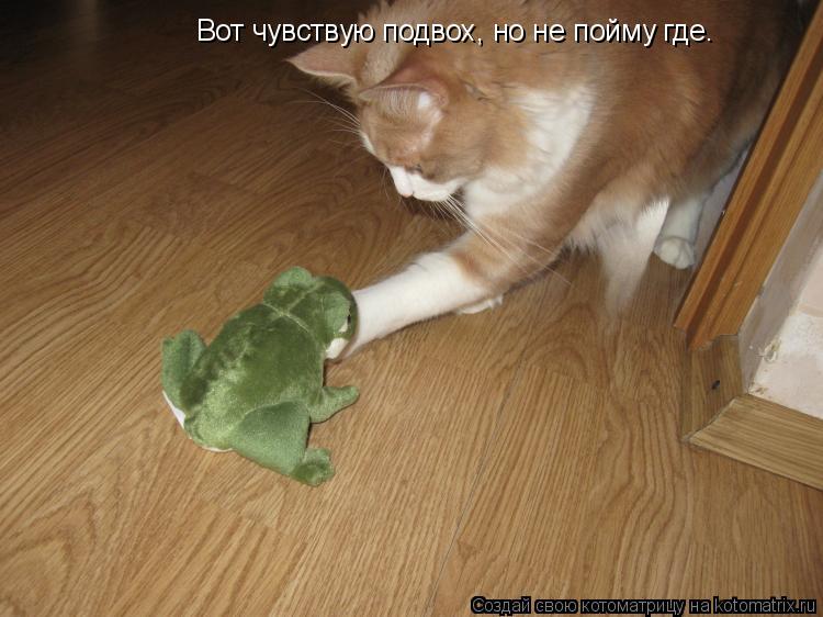 Котоматрица: Вот чувствую подвох, но не пойму где.