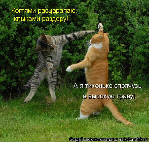 http://kotomatrix.ru/images/lolz/2009/04/24/L0.jpg