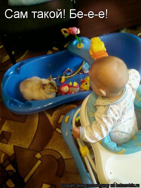 Сам такой! Бе-е-е!... Котоматрица: Сам такой! Бе-е-е!