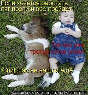 Котоматрица: Если хочется работать ляг поспи и всё пройдёт! Так мы уже третьи сутки спим! Спи! Нас не нашли ещё