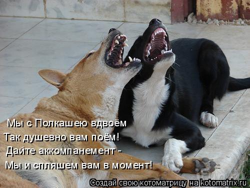 Мы с Полкашею вдвоём Так душевно вам поём! Дайте аккомпанемент - Мы и спляшем вам в момент!... Котоматрица: Мы с Полкашею вдвоём Так душевно вам поём! Дайте аккомпанемент - Мы и спляшем вам в момент!