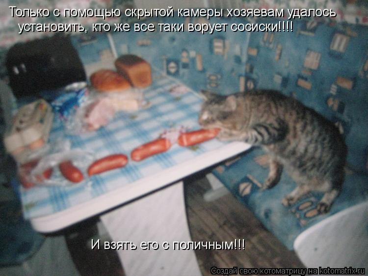 Только с помощью скрытой камеры хозяевам удалось установить, кто же все таки ворует сосиски!!!! И взя... Котоматрица: Только с помощью скрытой камеры хозяевам удалось установить, кто же все таки ворует сосиски!!!! И взять его с поличным!!!