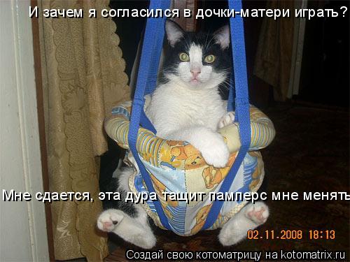И зачем я согласился в дочки-матери играть? Мне сдается, эта дура тащит памперс мне менять...... Котоматрица: И зачем я согласился в дочки-матери играть? Мне сдается, эта дура тащит памперс мне менять...