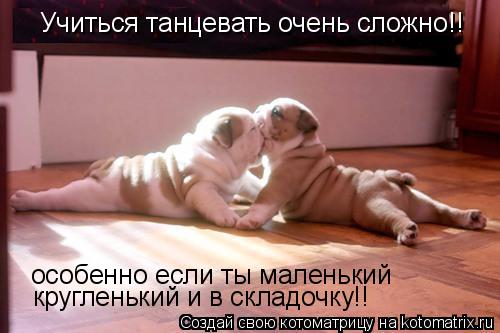 Учиться танцевать очень сложно!! особенно если ты маленький кругленький и в складочку!!... Котоматрица: Учиться танцевать очень сложно!! особенно если ты маленький кругленький и в складочку!!