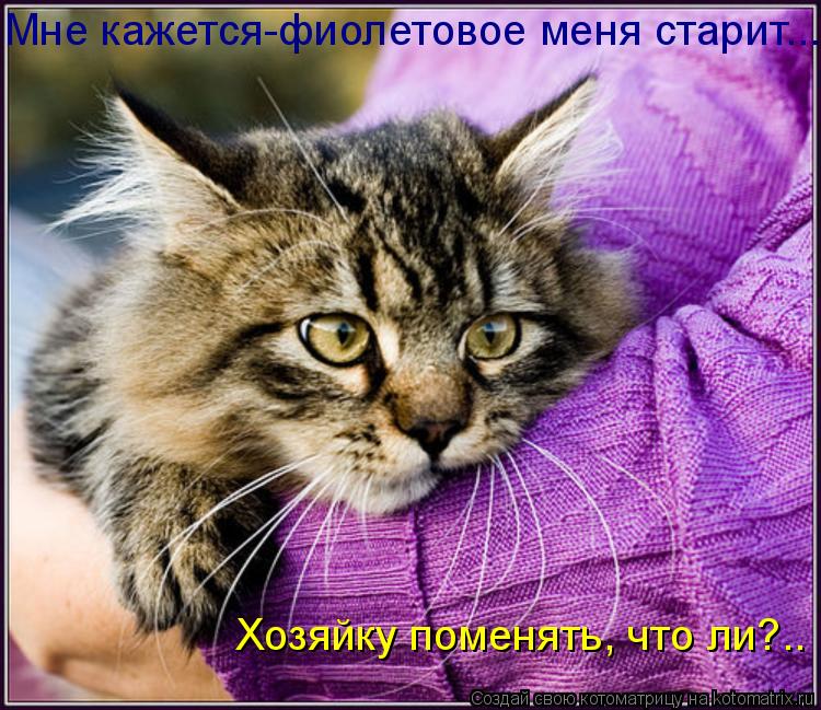 Мне Фиолетово Это Значит