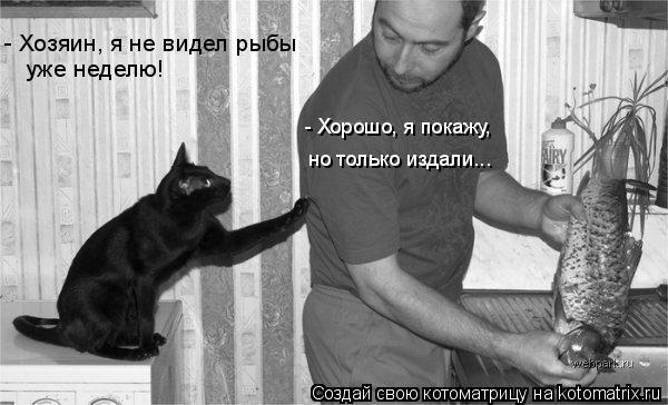 Котоматрица: - Хозяин, я не видел рыбы уже неделю! - Хорошо, я покажу, но только издали...