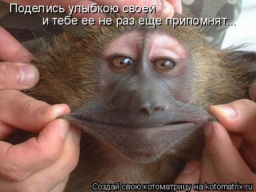 Котоматрица: Поделись улыбкою своей и тебе ее не раз еще припомнят...