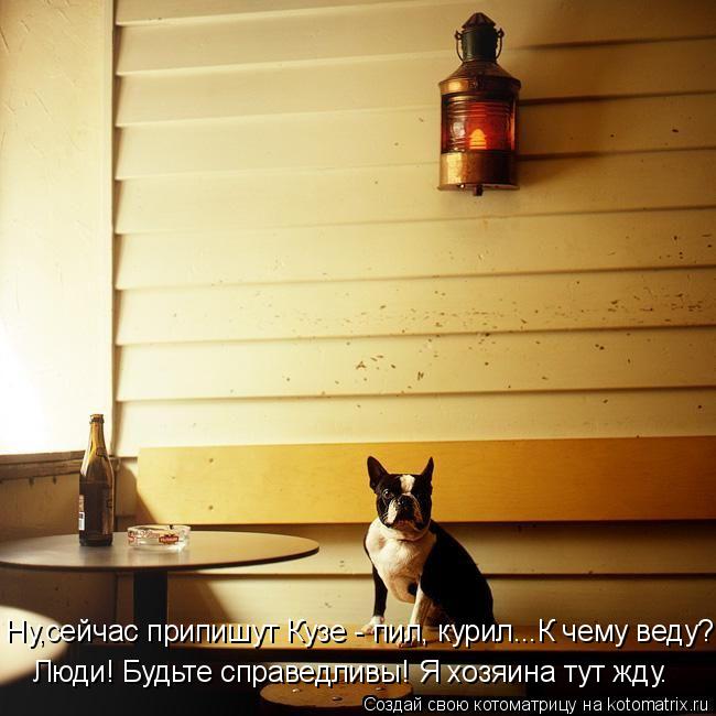 Ну,сейчас припишут Кузе - пил, курил...К чему веду? Люди! Будьте справедливы! Я хозяина тут жду.... Котоматрица: Ну,сейчас припишут Кузе - пил, курил...К чему веду? Люди! Будьте справедливы! Я хозяина тут жду.