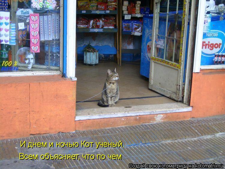 И днем и ночью Кот ученый, всем объясняет И днем и ночью Кот ученый, Всем объясняет, что по чем... Котоматрица: И днем и ночью Кот ученый, всем объясняет И днем и ночью Кот ученый, Всем объясняет, что по чем