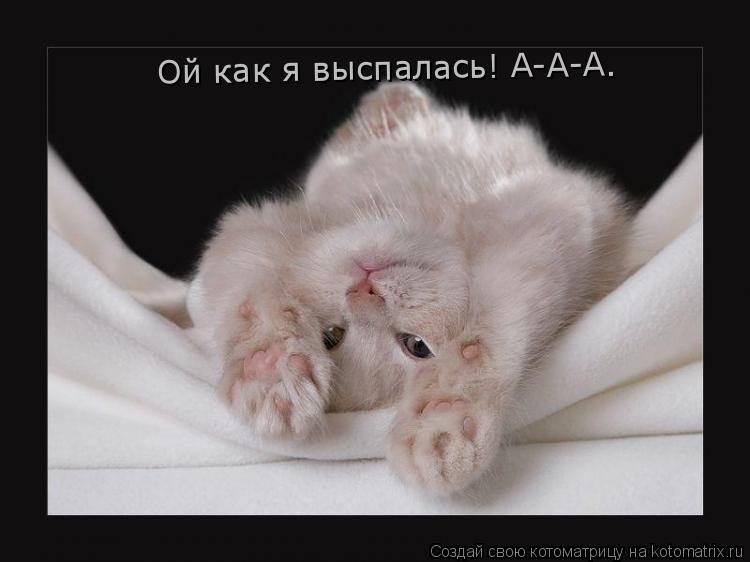 Ой как я выспалась! А-А-А.... Котоматрица: Ой как я выспалась! А-А-А.