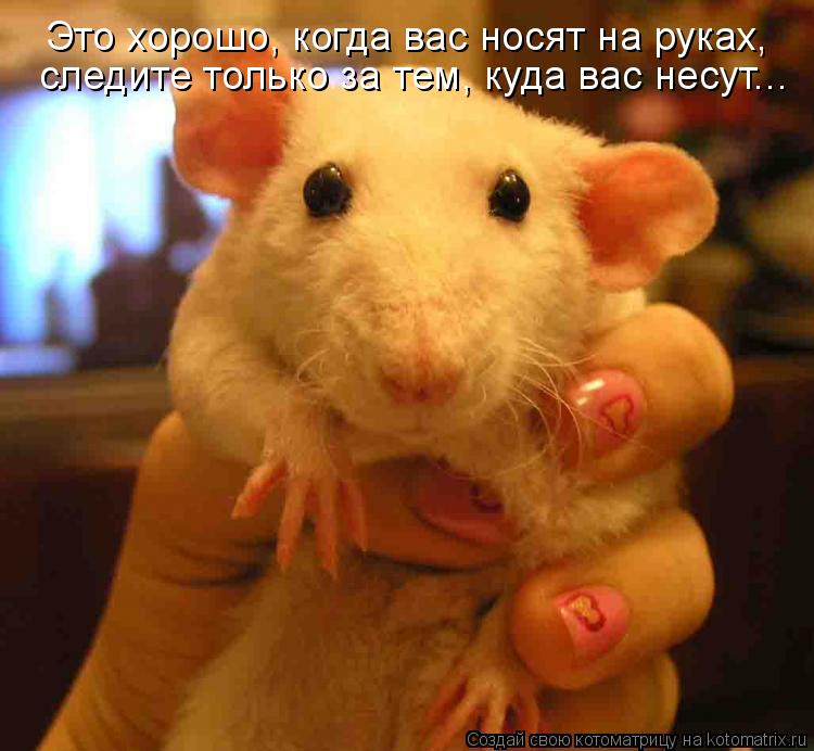 Радуясь тому что вас носят Радуясь тому что вас носят