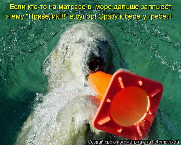 я ему "Приветик!!!" в рупор! Сразу к берегу гребёт! Если кто-то на матрасе в море дальше заплывёт,... Котоматрица: я ему "Приветик!!!" в рупор! Сразу к берегу гребёт! Если кто-то на матрасе в море дальше заплывёт,