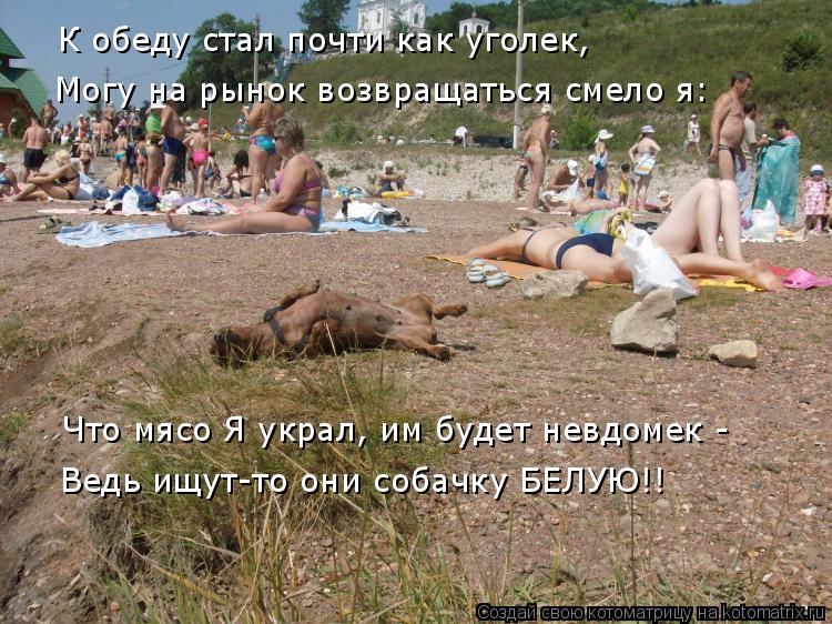 К обеду стал почти как уголек, Могу на рынок возвращаться смело я: Что мясо Я украл, им будет невдоме... Котоматрица: К обеду стал почти как уголек, Могу на рынок возвращаться смело я: Что мясо Я украл, им будет невдомек - Ведь ищут-то они собачку БЕЛУЮ!!