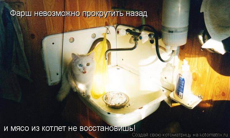 Фарш невозможно прокрутить назад и мясо из котлет не восстановишь!... Котоматрица: Фарш невозможно прокрутить назад и мясо из котлет не восстановишь!