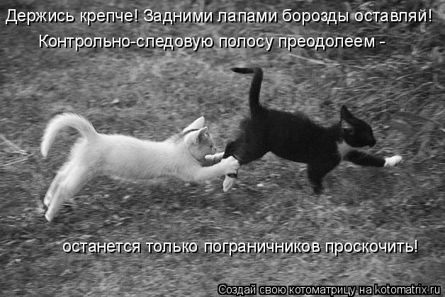 Держись крепче! Задними лапами борозды оставляй! Контрольно-следовую полосу преодолеем - останется т... Котоматрица: Держись крепче! Задними лапами борозды оставляй! Контрольно-следовую полосу преодолеем - останется только пограничников проскочить!