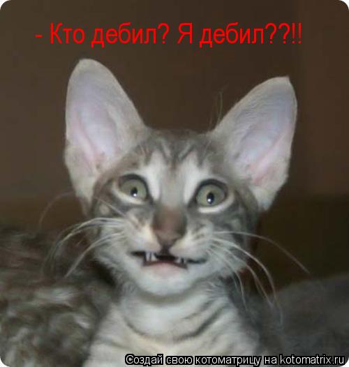 Котоматрица: - Кто дебил? Я дебил??!!